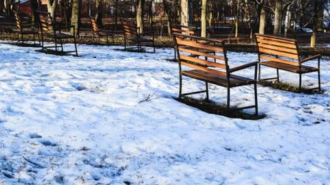 The beginning of spring in the Park Stock Photos