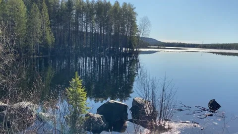 The beginning of spring, the trees are budding, a quiet calm lake. 4k Vídeo Stock 131169538