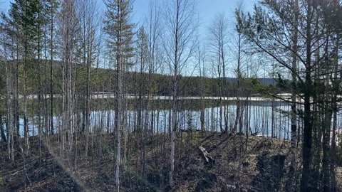 The beginning of spring, the trees are budding, a quiet calm lake. 4k Video stock 131169580