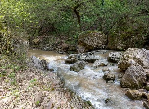 The beginning of summer, mountain river, walking along the canyon, hiking tra Stock Photos