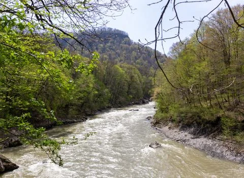 The beginning of summer, mountain river, walking along the canyon, hiking tra Stock Photos