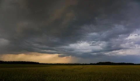 The beginning of a summer storm. Stock Photos