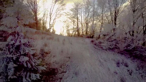 The beginning of winter in a beautiful landscape with a sunset of splendor Stock Footage 166919471
