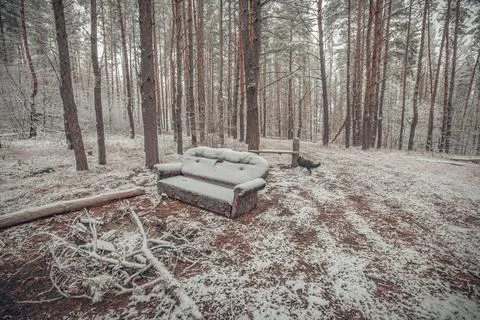 The beginning of winter in the forest in November Stock Photos