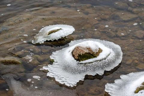 Beginning of the winter, Ice forms on the vegetation across the river. Stock Photos