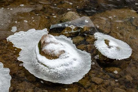 Beginning of the winter, Ice forms on the vegetation across the river. Stock Photos