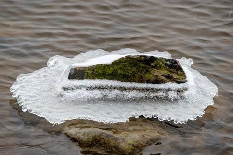 Beginning of the winter, Ice forms on the vegetation across the river. Stock Photos