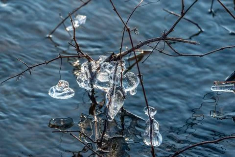 Beginning of the winter, Ice forms on the vegetation across the river. Stock Photos