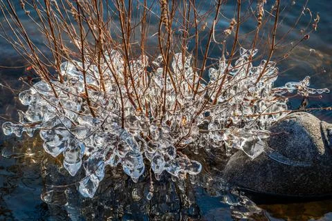 Beginning of the winter, Ice forms on the vegetation across the river. Stock Photos