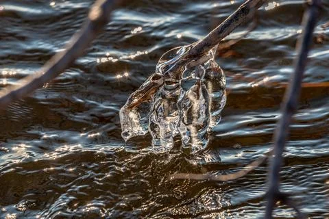 Beginning of the winter, Ice forms on the vegetation across the river. Stock Photos