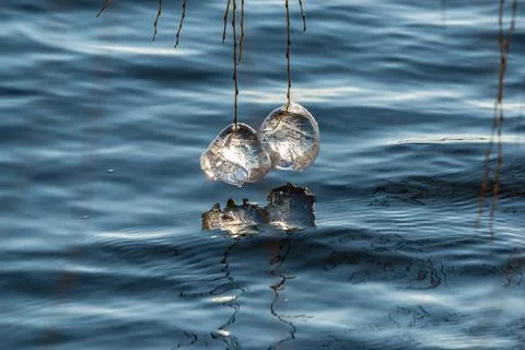 Beginning of the winter, Ice forms on the vegetation across the river. Stock Photos