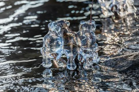 Beginning of the winter, Ice forms on the vegetation across the river. Stock Photos
