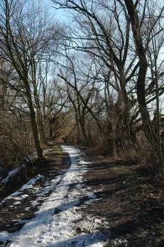 Beginning of winter Stock Photos