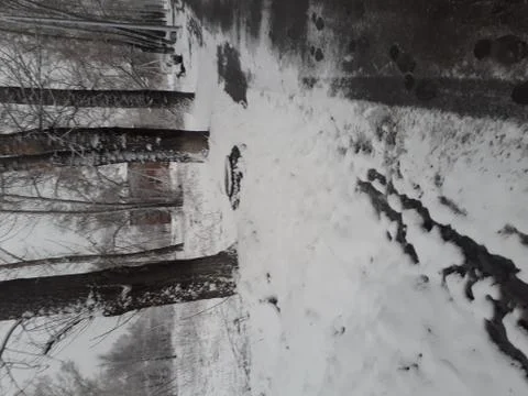 Beginning of winter Foto stock