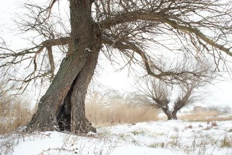 The beginning of winter. the river of ice Stock Photos