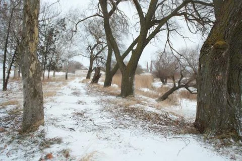 The beginning of winter. the river of ice Stock Photos