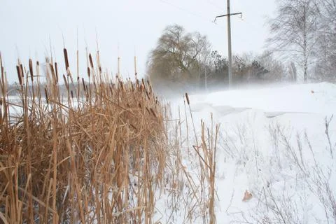 The beginning of winter. the river of ice Stock Photos
