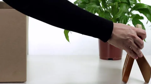 The Beginning of Work on the New Workplace Stock Footage 64117015