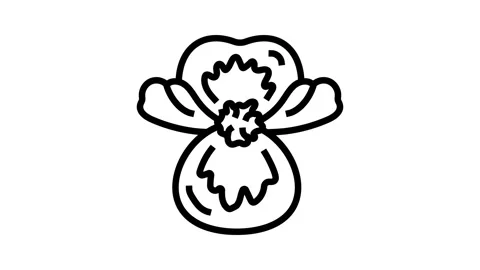 Begonia flower spring line icon animation Stock Footage 326135363