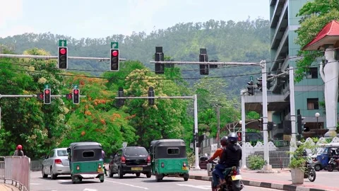 The behaviour of vehicles on the road to traffic lights. Stopping and Going Stock Footage 246078567