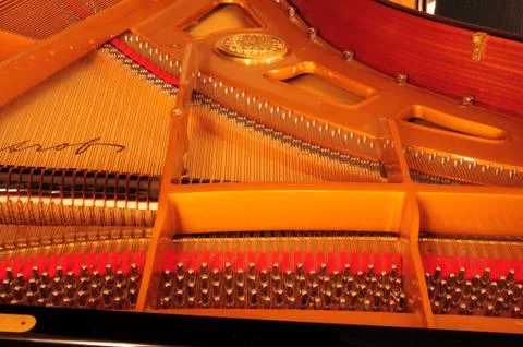 Behid a keyboard Stock Photos