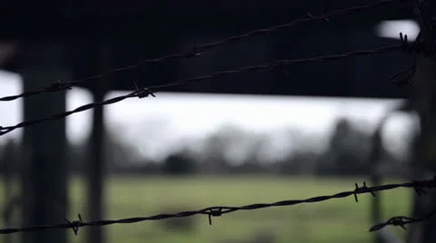 Behind barbed wire Stock Footage 22657181