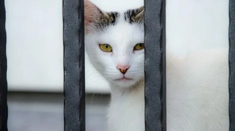 Behind bars Foto stock