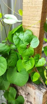 Behind the beatiful Stock Photos