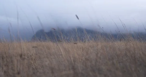 Behind the dry grass on the hill there are mountains in the clouds Stock Footage 88392690