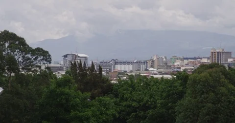 From behind the forest you can see the city. Costa Rica Stock Footage 82981255