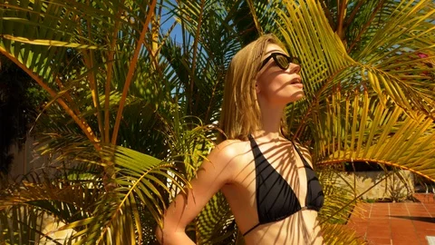 Behind the foxtail palm 스톡 동영상 107304181