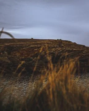 Behind the grass Stock Photos