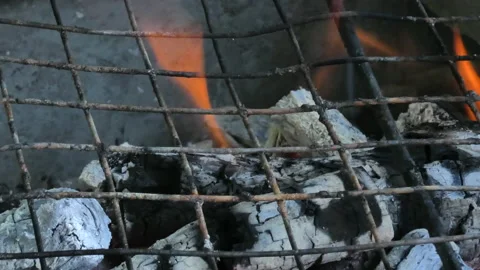Behind the grate are burning and smoldering embers. Stock Footage 163236370