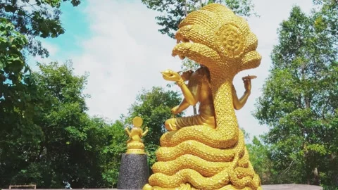 Behind narayana 库存影片 340485358