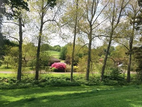Behind a row of green trees is a small house with a farm. Rural life outside Stock Photos