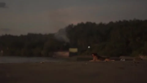 Behind The Scenes of a Vlog 스톡 동영상 243069006