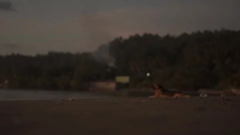 Behind The Scenes of a Vlog Stock Footage 243069022