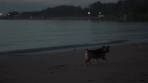 Behind The Scenes of a Vlog 스톡 동영상 243069024