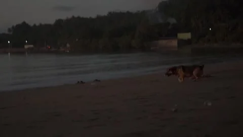 Behind The Scenes of a Vlog Stock Footage 243069029