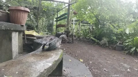 Behind The Scenes of a Vlog Video stock 243069036