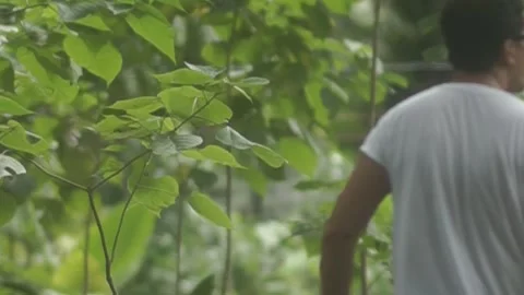 Behind The Scenes of a Vlog Video stock 243069262