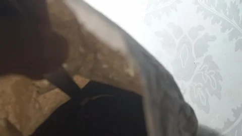 Behind The Scenes of a Vlog Stock Footage 243069987