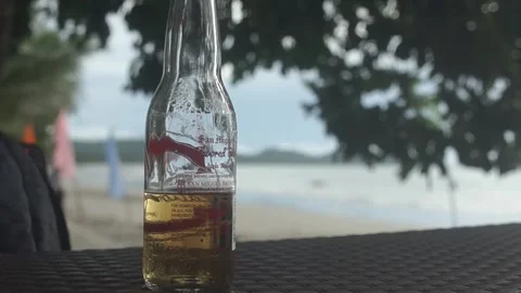 Behind The Scenes of a Vlog Stock Footage 243070314