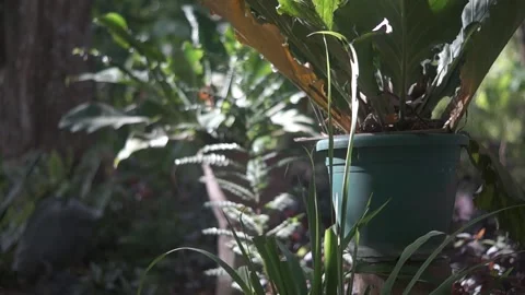 Behind The Scenes of a Vlog Stock Footage 243070323