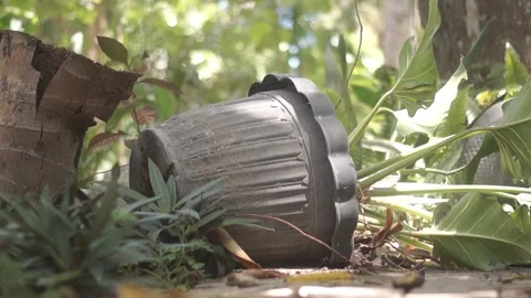 Behind The Scenes of a Vlog Stock Footage 243070327