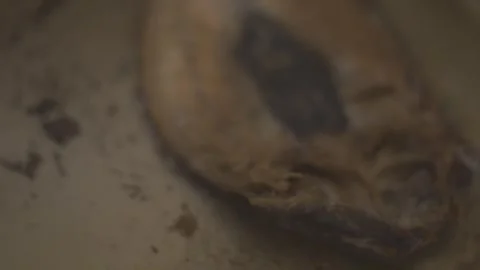 Behind The Scenes of a Vlog Stock Footage 243071242