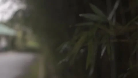 Behind The Scenes of a Vlog Stock Footage 243094701