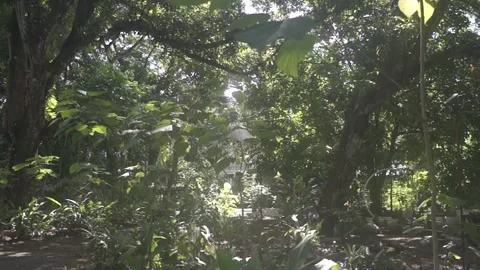 Behind The Scenes of a Vlog Stock Footage 243094861