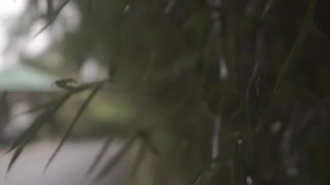 Behind The Scenes of a Vlog Stock Footage 243094862