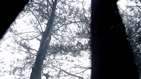 Behind The Scenes of a Vlog 스톡 동영상 243094863